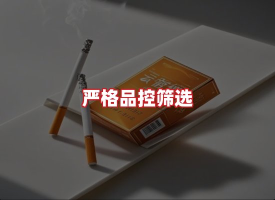 专业团队